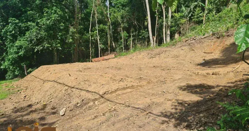 Terreno à venda, 1000 m² por r$ 320.000,00 - centro - guapimirim/rj