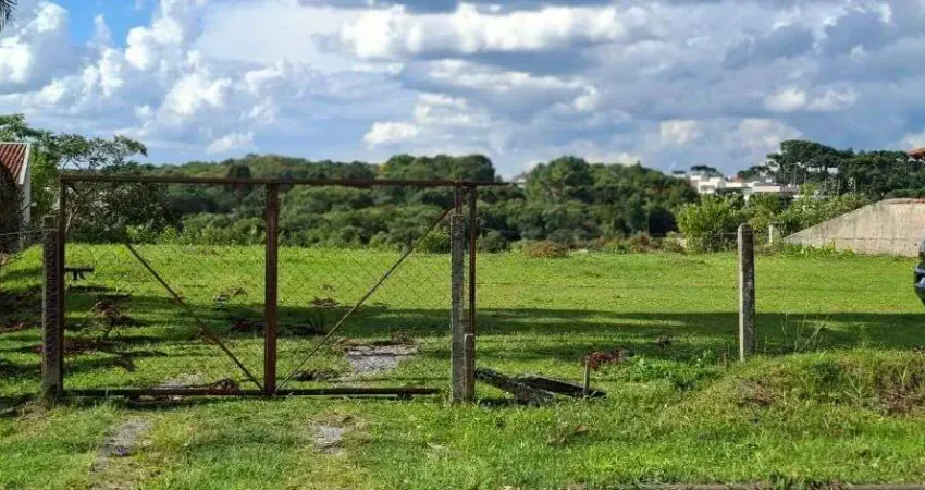 Terreno à venda, 1250 m² por R$ 1.000.000,00 - Taboão - Curitiba/PR