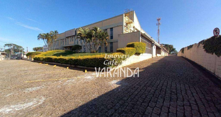 Barracão / Galpão / Depósito com 15 salas à venda na Rua Antonio Felamingo, Macuco, Valinhos