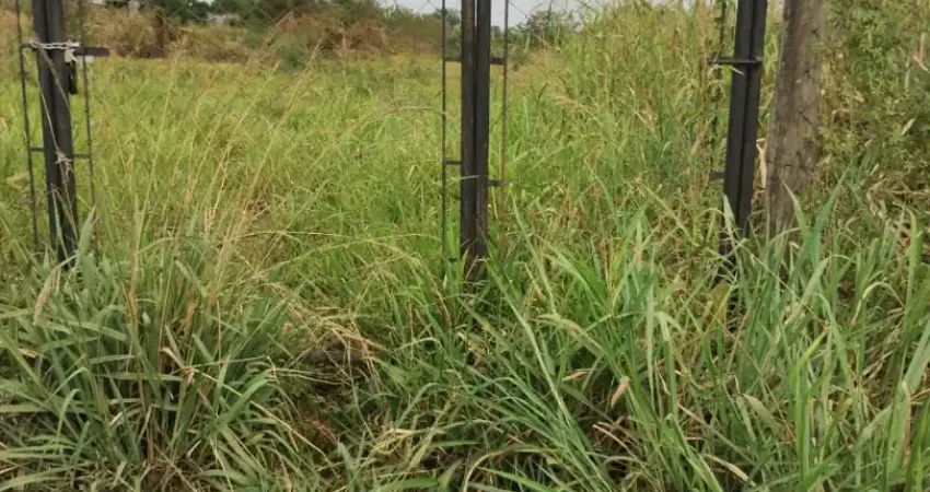Terreno comercial para alugar no Jardim Califórnia, Piracicaba 