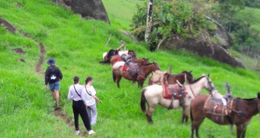 Chácara / sítio à venda na Rodovia Parati - Cunha, Baía de Paraty, Paraty