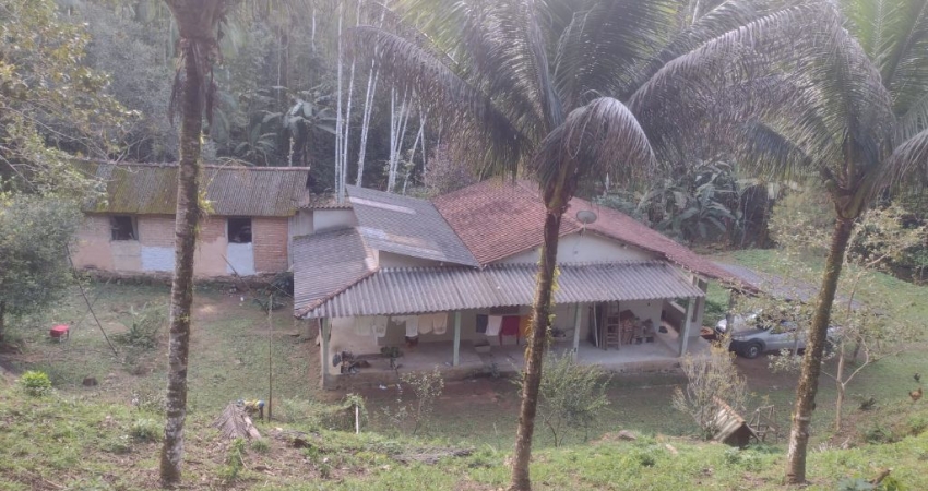 Chácara / sítio com 4 quartos à venda na Barra Grande, Paraty 