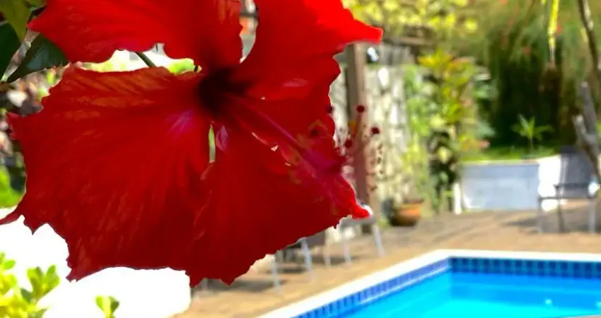 Casa comercial com 2 salas à venda na Rua José Milton de Oliveira, 00, Centro, Paraty