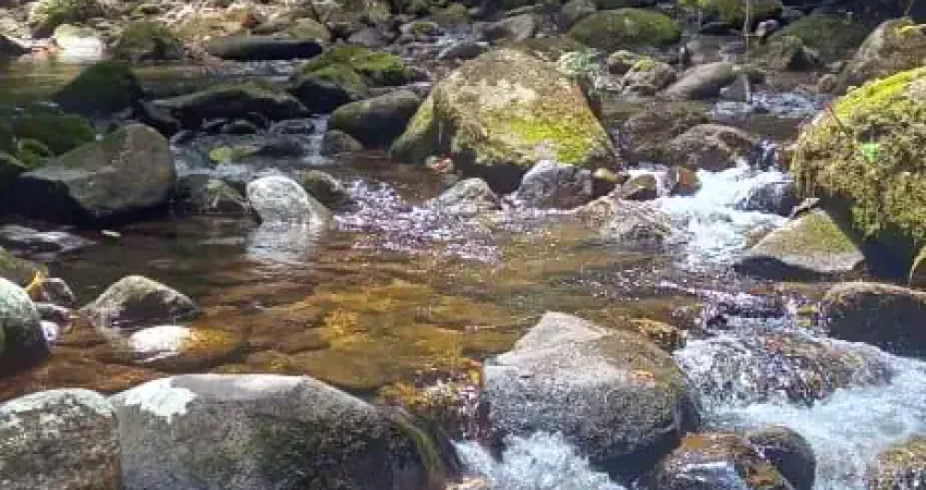 Chácara / sítio à venda na Estrada pastor, 2522, Ubatumirim, Ubatuba