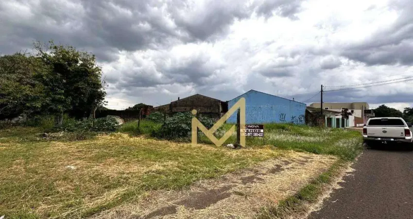 Terreno à venda, 522 m² por R$ 650.000,00 - Maria Luiza - Cascavel/PR