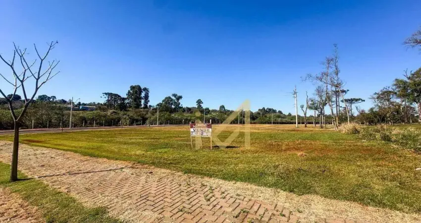 Terreno à venda, 301 m² por r$ 300.000,00 - paraíso tropical ii - cascavel/pr
