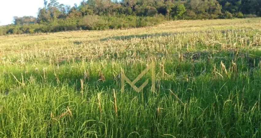 Área à venda, 35218 m² por r$ 580.000,00 - rio do salto - cascavel/pr