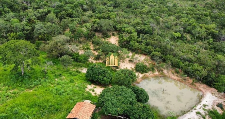 Fazenda Comercial à Venda em Três Marias-MG - Bairro Área Rural  4 Quartos, 2 Salas, 1 Banheiro  1.340.000m² de Área