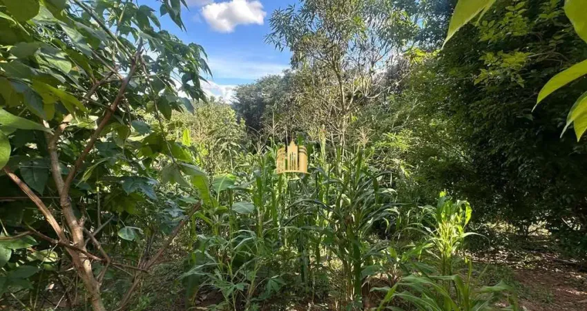 Terreno 5.000m² à Venda na Região Pimenta, Esmeraldas ? Oportunidade por R$250 Mil