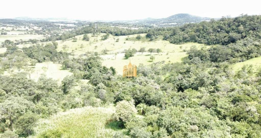 Fazenda Caio Martins ? 34,5 ha com Casa e Estrutura Completa