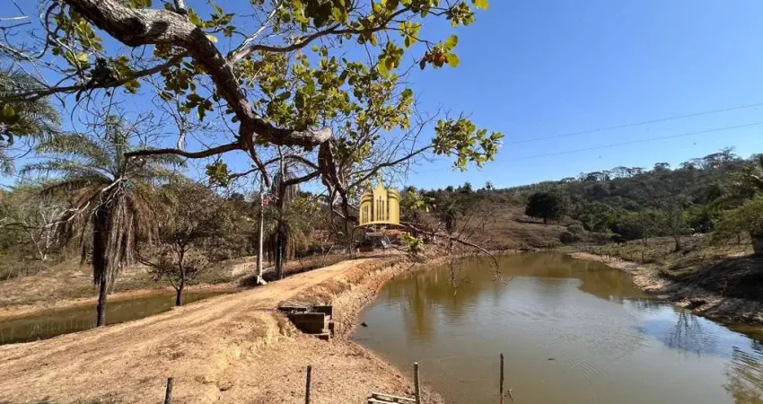 Fazendinha 13 Hectares Lagos Nascentes Pomar Curral ? MG-433/MG-808