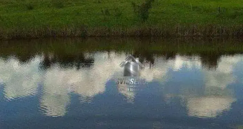 Chácara com 1 dormitório à venda, 5000 m² por r$ 250.000,00 - jardim primavera - arealva/sp