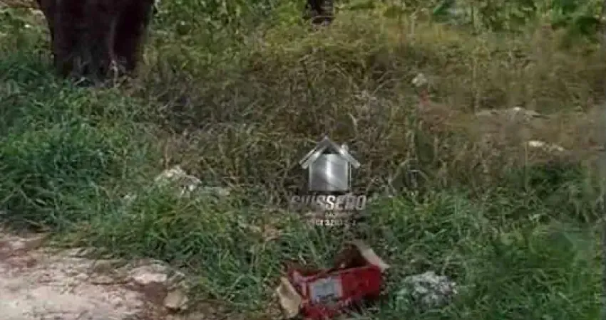Terreno à venda na Rua João Fernandes Sanches, Jardim Flórida, Bauru