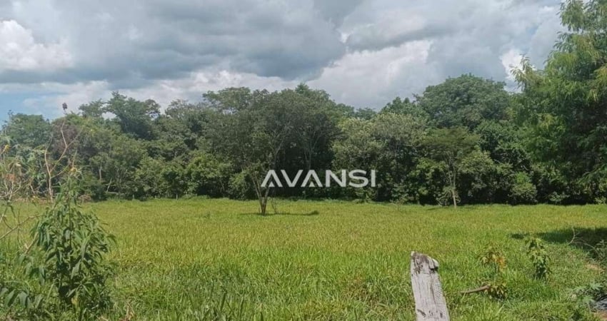 Terreno/chácara à venda, 3008 m² por R$ 95.000 - Chácaras São Martins - Mococa/SP