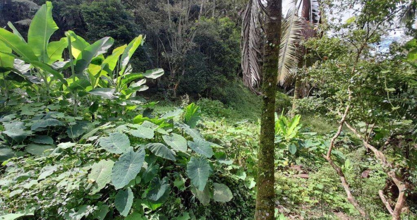 Terreno à venda na Rua Lírio, 1200, Jardim Clube de Campo, Santo André