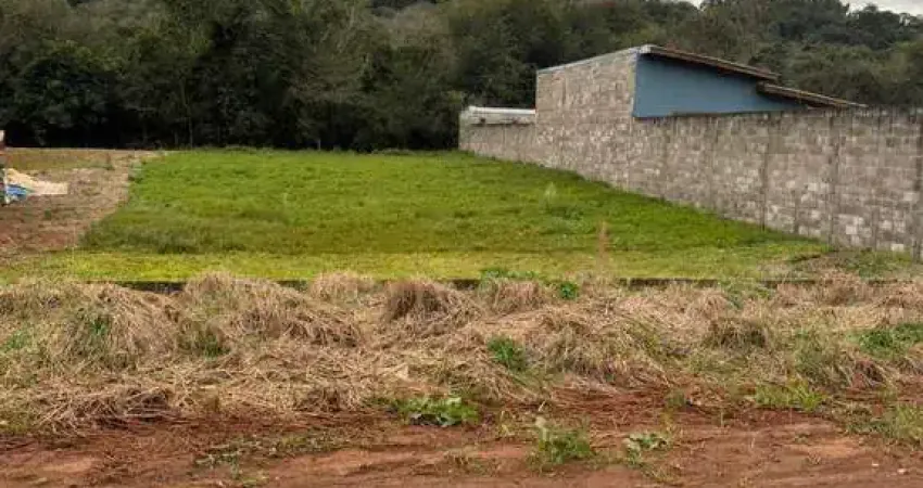 Chácara à venda, 1000 m² por R$ 180.000,00 - Zona Rural - Cascavel/PR
