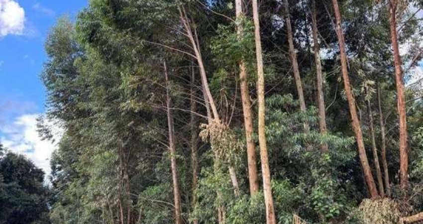 Área à venda, 21000 m² por R$ 1.500.000,00 - Rural - Cascavel/PR