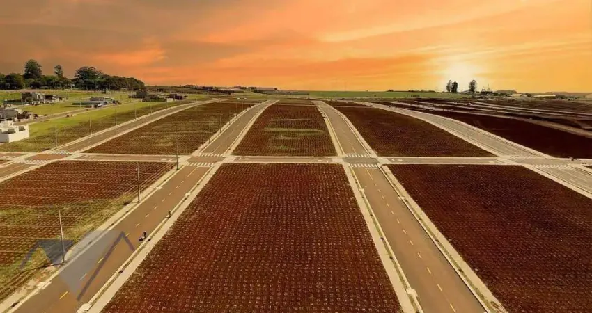 Terreno à venda, 5309 m² por r$ 8.870.000 - bella vita - cascavel/pr