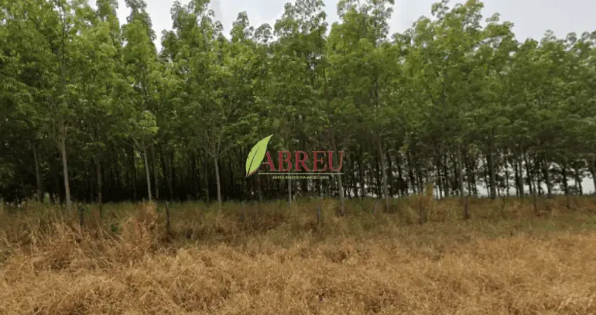 Sítio com seringueira à venda, 1 alqueire por R$ 400.000,00 – Zona Rural – Cosmorama/SP
