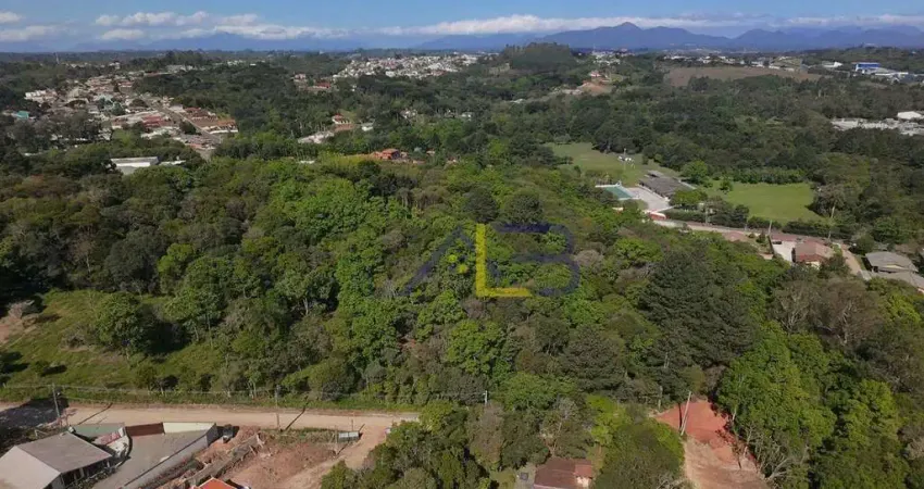 Terreno à venda, 4019 m² por r$ 1.000.000 - colônia faria - colombo/pr