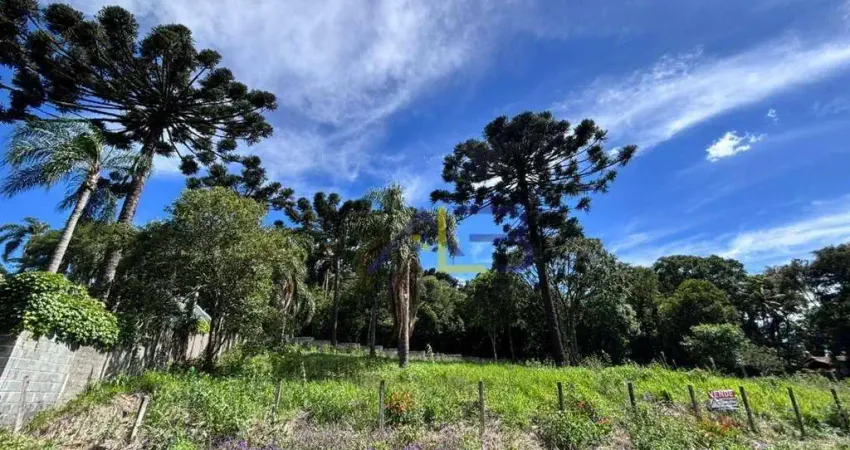 Terreno à venda, 922 m² por r$ 580.000 - alphaville graciosa - pinhais/pr