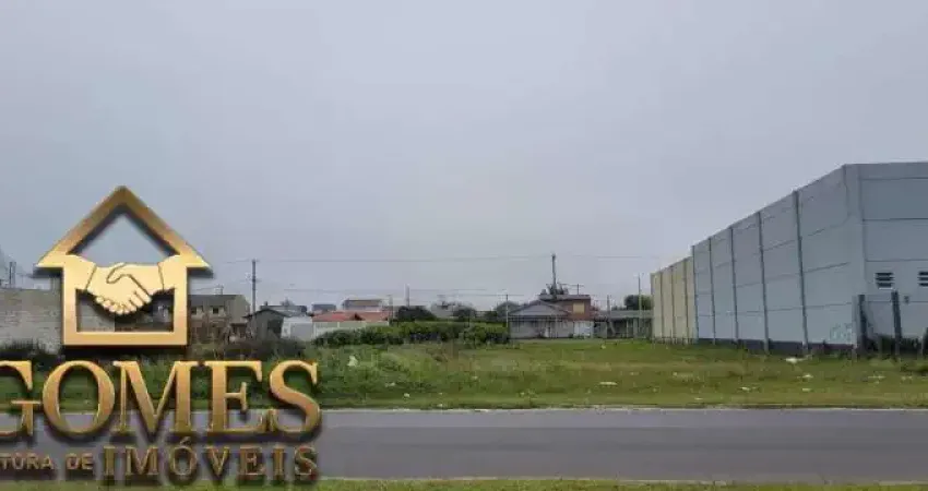 DOIS LOTES EM AV BEM LOCALIZADO IDEAL PARA INVESTIMENTO