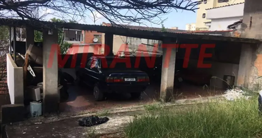 Terreno à venda na Avenida Parada Pinto, Horto Florestal, São Paulo