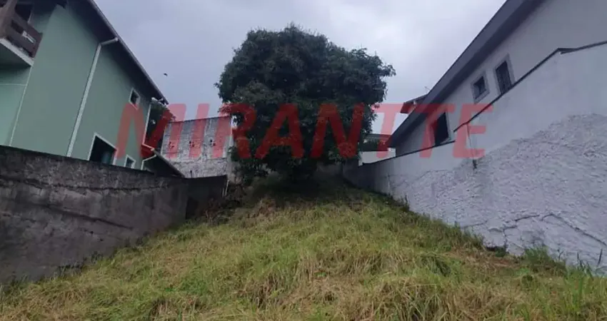 Terreno em Palmas Do Tremembé
