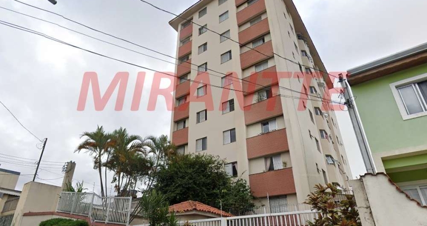 Apartamento de 59m² com 2 quartos em Imirim