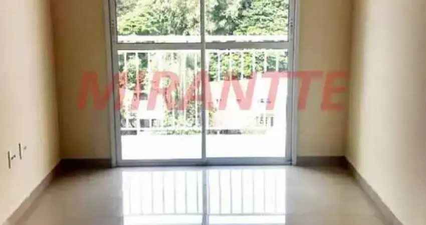 Apartamento de 60m² com 3 quartos em Horto Florestal