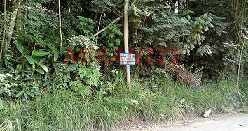 Terreno à venda na Estrada do Apolinário, Serra da Cantareira, São Paulo