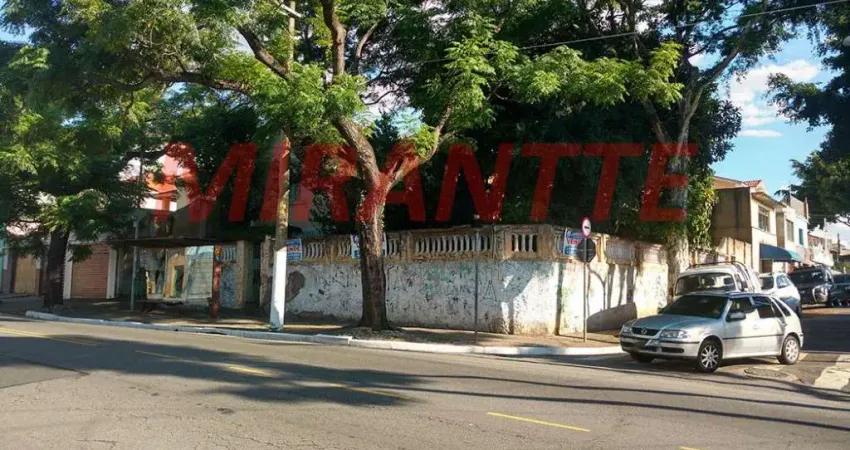 Terreno à venda na Avenida Conceição, Vila Guilherme, São Paulo