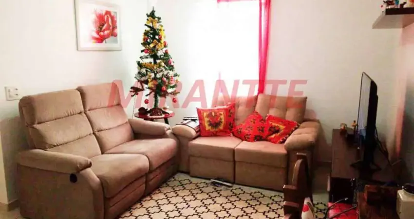 Apartamento de 50m² com 2 quartos em Lauzane Paulista