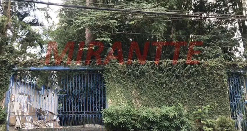 Terreno à venda na Avenida Nova Cantareira, Tremembé, São Paulo