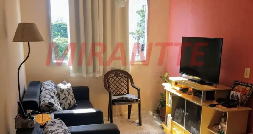 Apartamento com 2 quartos à venda na Rua Pedro Brasil Bandecchi, Vila Amélia, São Paulo