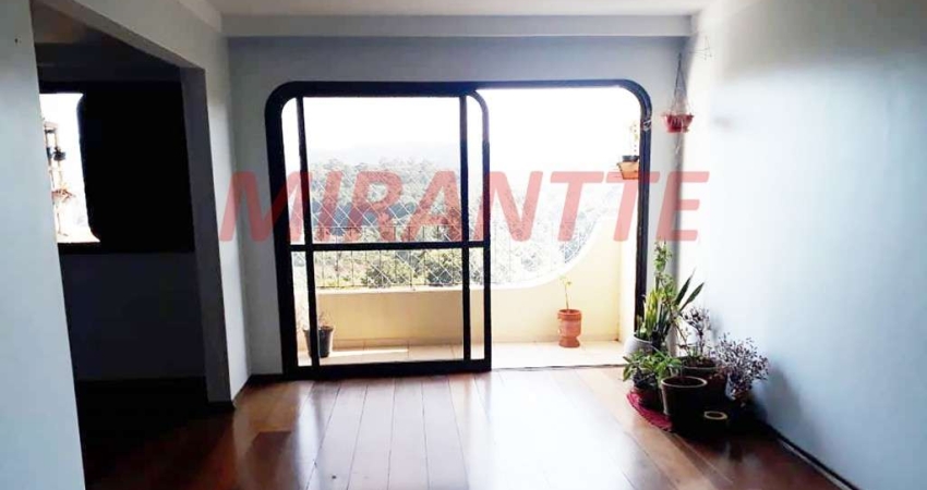 Apartamento de 154m² com 3 quartos em Horto Florestal