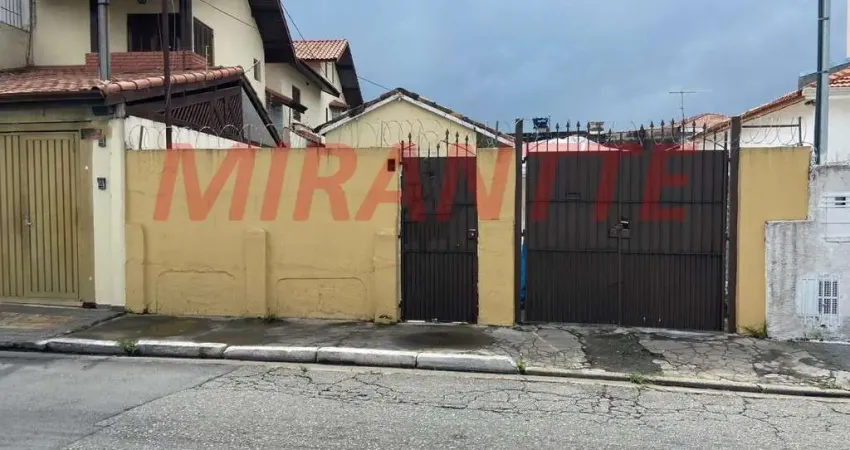 Terreno em Jaçana