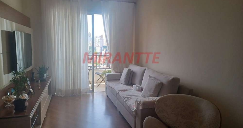 Apartamento de 75m² com 3 quartos em Lauzane Paulista