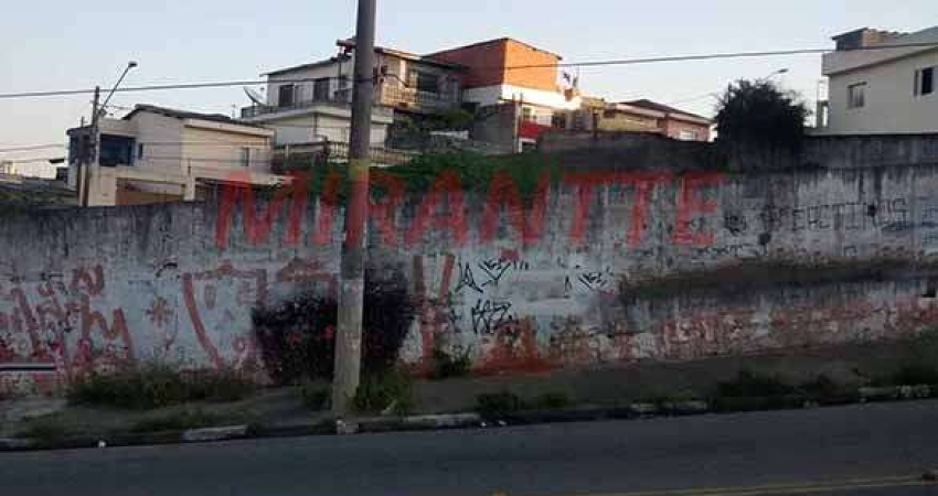 Terreno em Jardim Peri