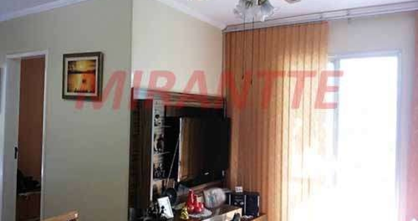 Apartamento de 50m² com 2 quartos em Vila Amalia