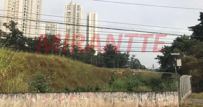 Terreno em Jardim Boa Vista