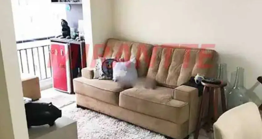 Apartamento de 52m² com 1 quartos em Freguesia do Ó