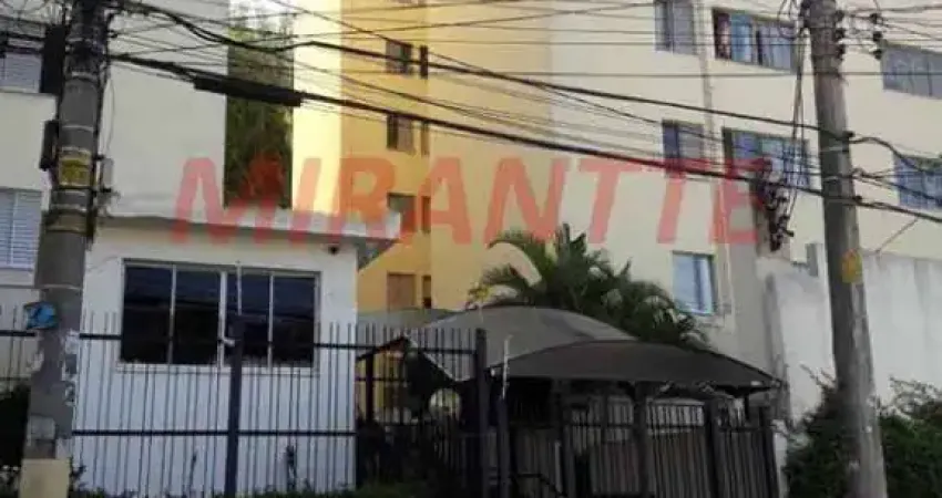 Apartamento de 50m² com 2 quartos em Vila Amalia