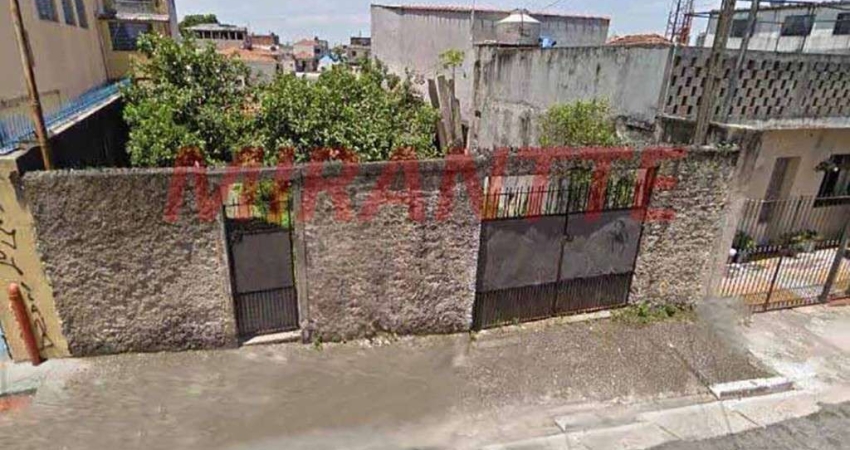Terreno em Vila Carbone