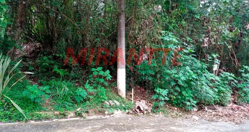 Terreno em condomínio fechado à venda na Alameda Kiri, Serra da Cantareira, São Paulo