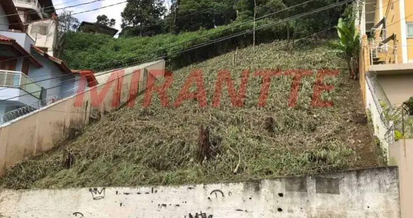 Terreno em condomínio fechado à venda na Rua Maria da Conceição Fonseca, Vila Irmãos Arnoni, São Paulo