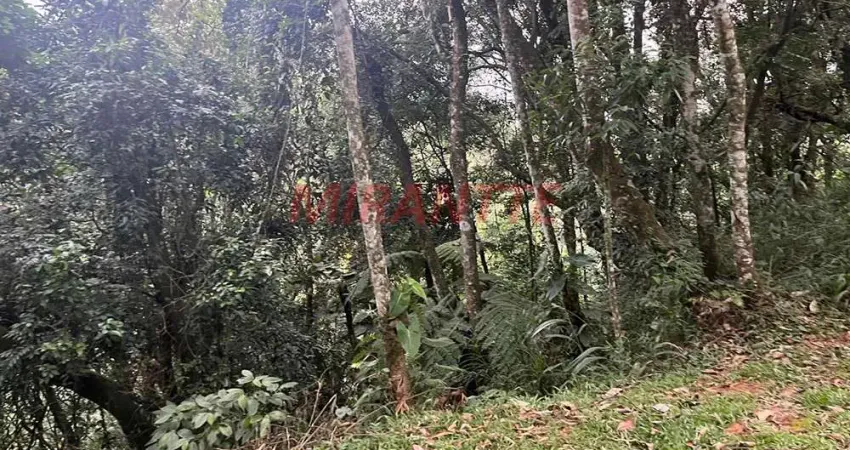 Terreno em condomínio fechado à venda na Rua dos Palmares, Serra da Cantareira, São Paulo