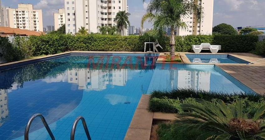 Apartamento de 53m² com 2 quartos em Limão