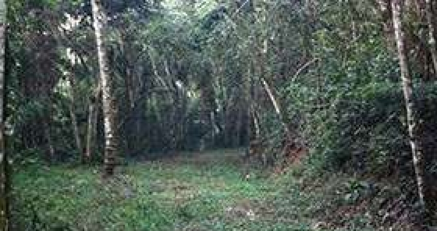 Terreno à venda na Alameda Amazonas, Serra da Cantareira, São Paulo