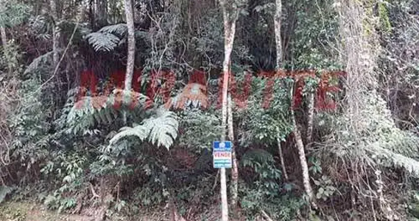 Terreno em condomínio fechado à venda na Alameda Das Saíras, Centro, Mairiporã